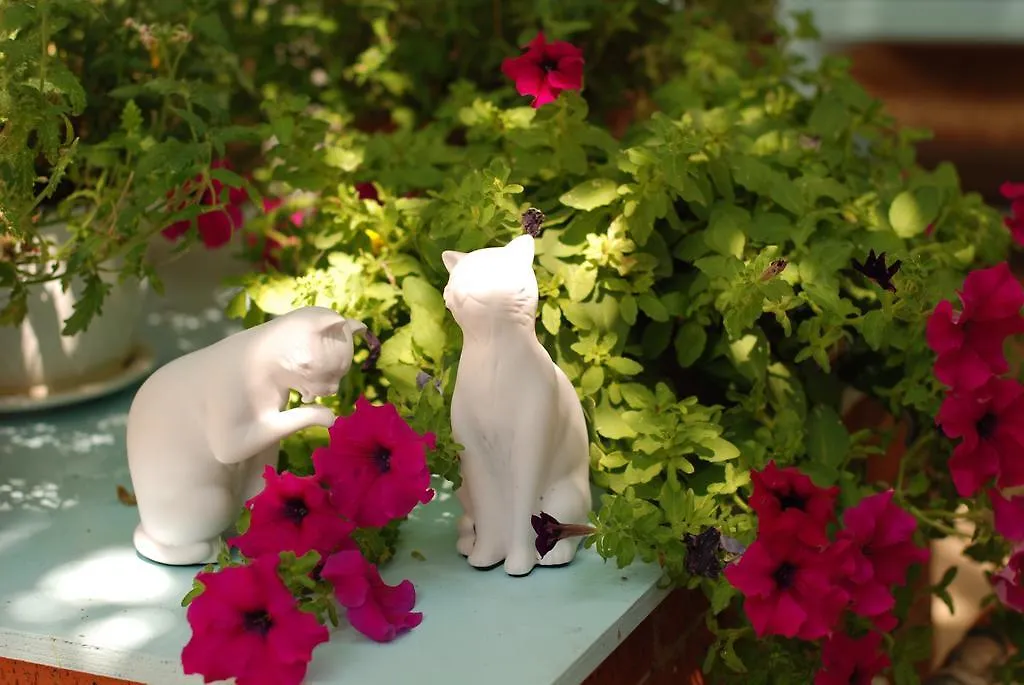 Cunda Altay Hotel Ayvalı